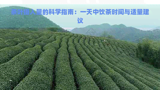 茶叶摄入量的科学指南：一天中饮茶时间与适量建议