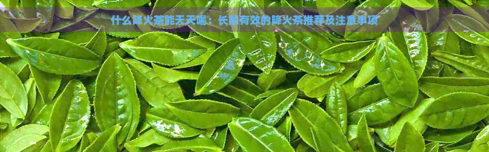 什么降火茶能天天喝：长期有效的降火茶推荐及注意事项