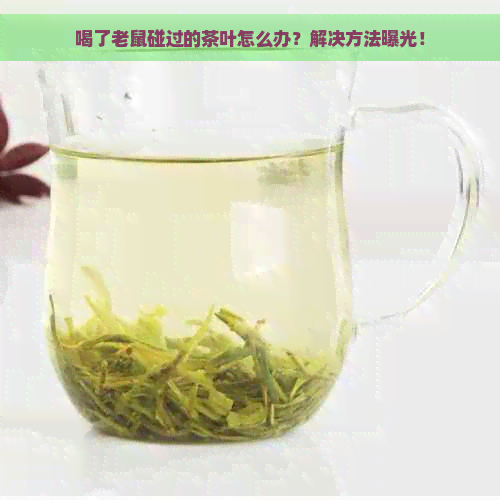 喝了老鼠碰过的茶叶怎么办？解决方法曝光！