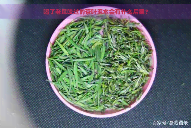 喝了老鼠咬过的茶叶泡水会有什么后果？