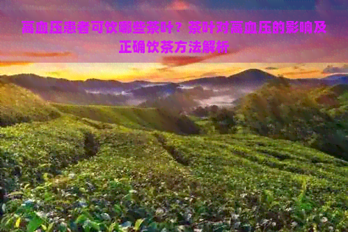 高血压患者可饮哪些茶叶？茶叶对高血压的影响及正确饮茶方法解析