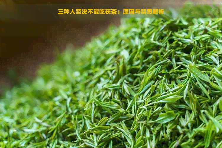 三种人坚决不能吃茯茶：原因与禁忌解析