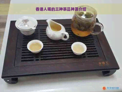 人喝的三种茶品种及介绍