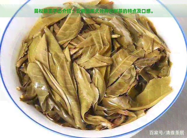 曼松茶王子山介绍：云南勐库大叶种古树茶的特点及口感。