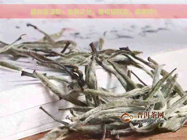 曼松普洱茶：生熟之分，曼松旗舰店，哪家好？