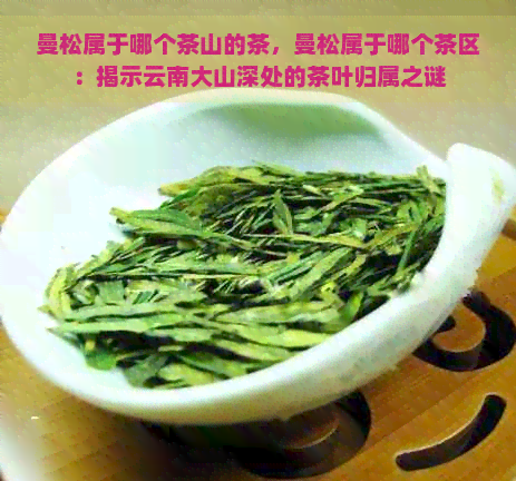 曼松属于哪个茶山的茶，曼松属于哪个茶区：揭示云南大山深处的茶叶归属之谜