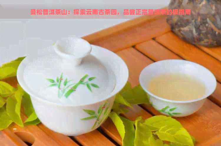 曼松普洱茶山：探索云南古茶园，品尝正宗普洱茶的极指南