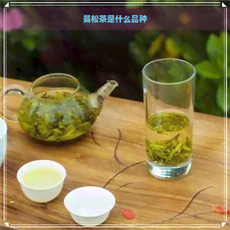 曼松茶是什么品种