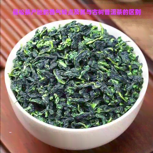 曼松茶产地的香气特点及其与古树普洱茶的区别