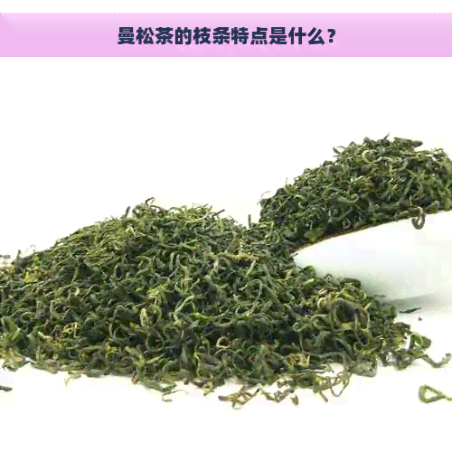 曼松茶的枝条特点是什么？