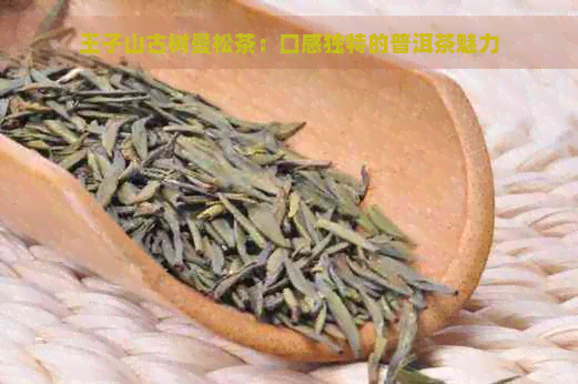 王子山古树曼松茶：口感独特的普洱茶魅力