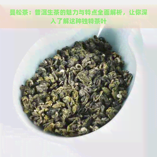 曼松茶：普洱生茶的魅力与特点全面解析，让你深入了解这种独特茶叶