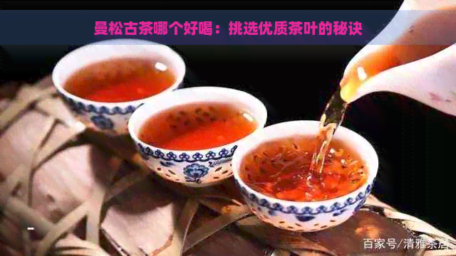 曼松古茶哪个好喝：挑选优质茶叶的秘诀