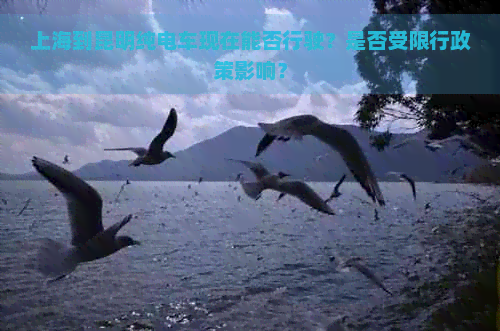 上海到昆明纯电车现在能否行驶？是否受限行政策影响？