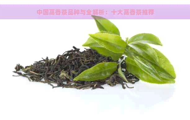 中国高香茶品种与全解析：十大高香茶推荐