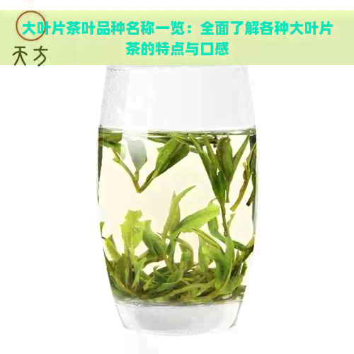 大叶片茶叶品种名称一览：全面了解各种大叶片茶的特点与口感