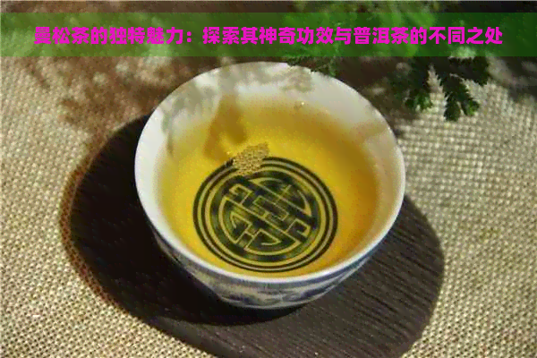 曼松茶的独特魅力：探索其神奇功效与普洱茶的不同之处