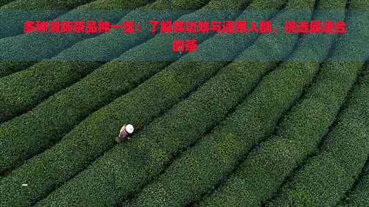 多种清肺茶品种一览：了解其功效与适用人群，挑选最适合的茶