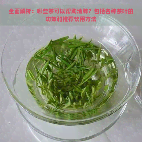 全面解析：哪些茶可以帮助清肺？包括各种茶叶的功效和推荐饮用方法