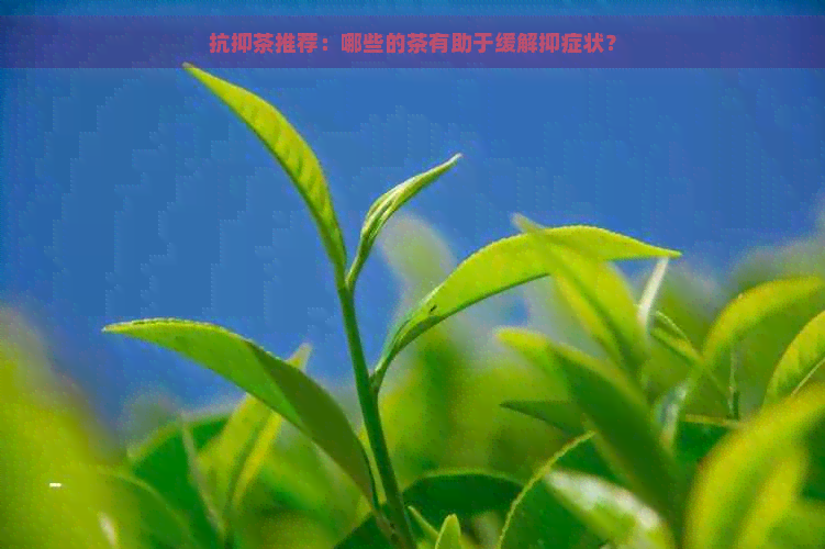 抗抑茶推荐：哪些的茶有助于缓解抑症状？