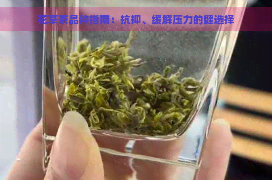 花草茶品种指南：抗抑、缓解压力的健选择