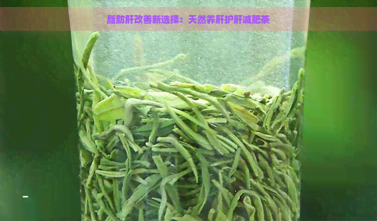 脂肪肝改善新选择：天然养肝护肝减肥茶