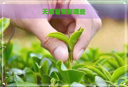 天解暑茶有哪些