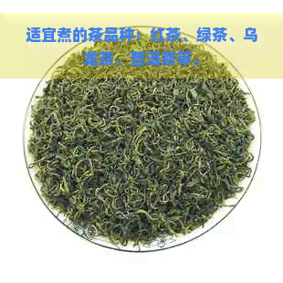 适宜煮的茶品种：红茶、绿茶、乌龙茶、普洱茶等。