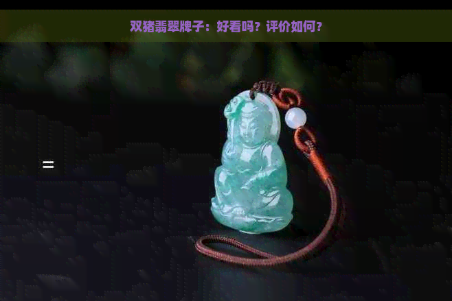 双猪翡翠牌子：好看吗？评价如何？