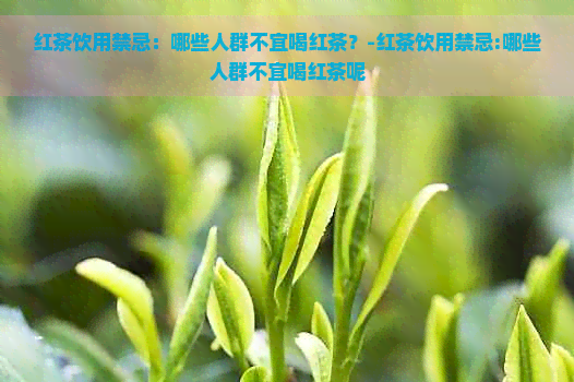 红茶饮用禁忌：哪些人群不宜喝红茶？-红茶饮用禁忌:哪些人群不宜喝红茶呢