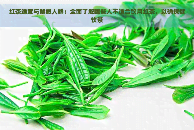 红茶适宜与禁忌人群：全面了解哪些人不适合饮用红茶，以确保健饮茶