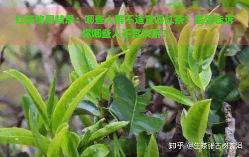 红茶饮用禁忌：哪些人群不适宜喝红茶？医生告诉你哪些人不宜饮用？