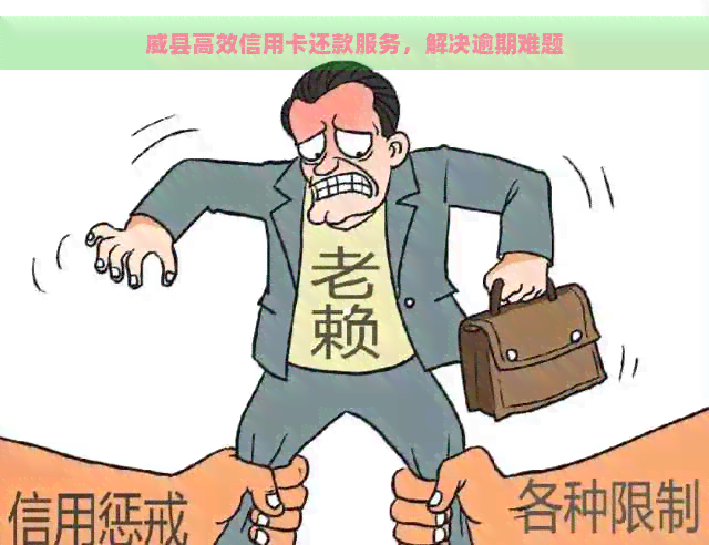 威县高效信用卡还款服务，解决逾期难题