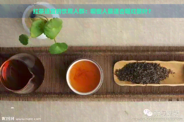 红茶适宜的饮用人群：哪些人最适合喝红茶叶？