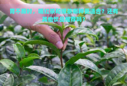 胃不服时，喝红茶和绿茶哪种更适合？还有其他饮品推荐吗？