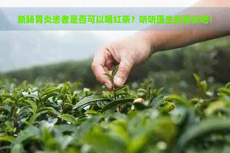 新肠胃炎患者是否可以喝红茶？听听医生的建议吧！