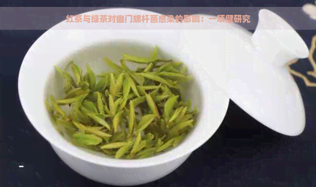 红茶与绿茶对幽门螺杆菌感染的影响：一项健研究