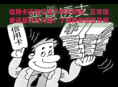 信用卡还款后显示明天到账：正常现象还是存在问题？了解具体原因及解决办法