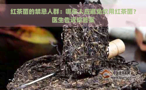 红茶菌的禁忌人群：哪些人应避免饮用红茶菌？医生告诉你答案