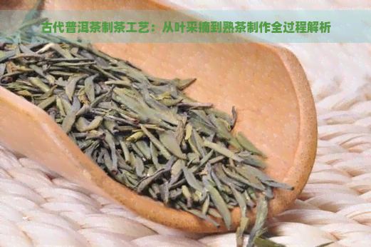 古代普洱茶制茶工艺：从叶采摘到熟茶制作全过程解析