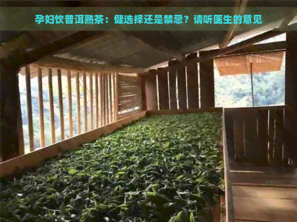 孕妇饮普洱熟茶：健选择还是禁忌？请听医生的意见