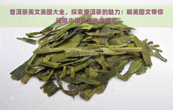 普洱茶美文美图大全，探索普洱茶的魅力：精美图文带你领略中国茶文化的瑰宝