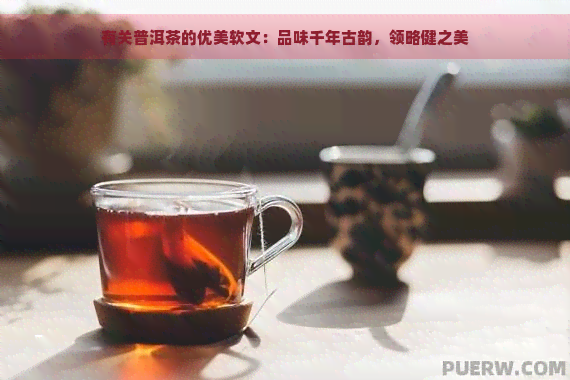 有关普洱茶的优美软文：品味千年古韵，领略健之美