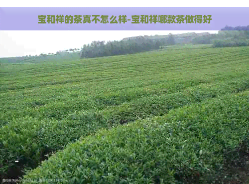 宝和祥的茶真不怎么样-宝和祥哪款茶做得好