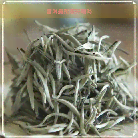 普洱曼松茶好喝吗