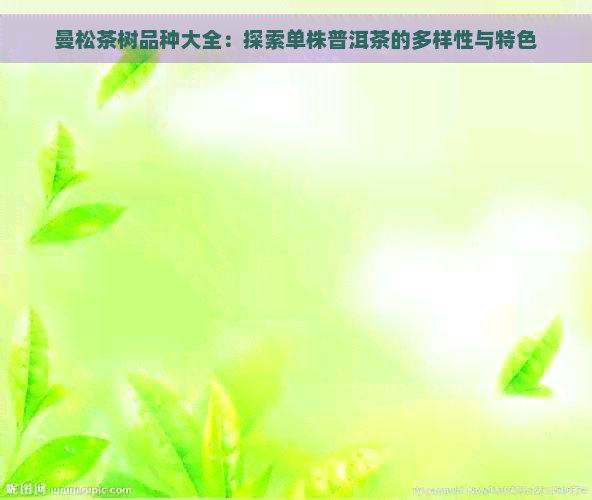 曼松茶树品种大全：探索单株普洱茶的多样性与特色