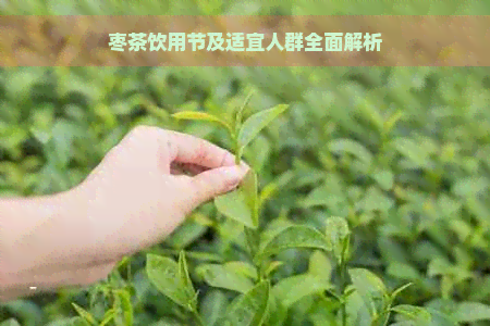 枣茶饮用节及适宜人群全面解析