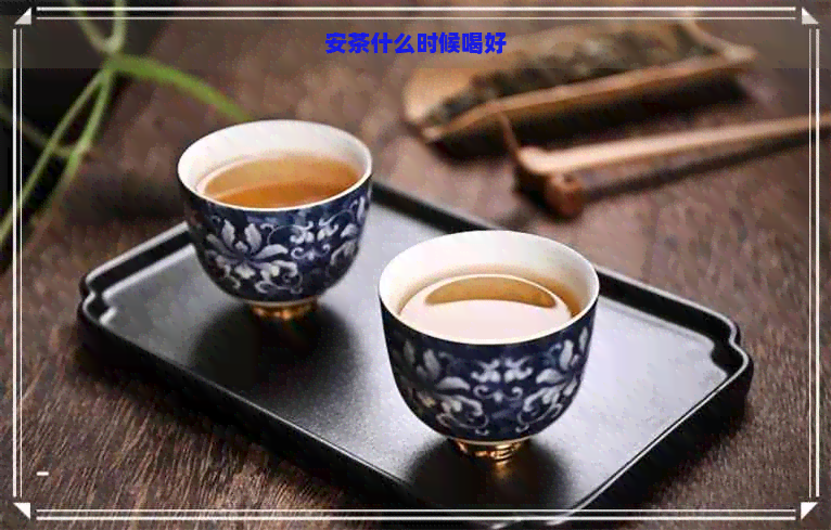 安茶什么时候喝好