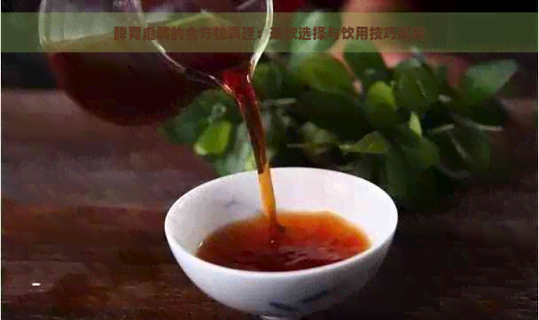 脾胃虚弱的全方位调理：茶饮选择与饮用技巧解析