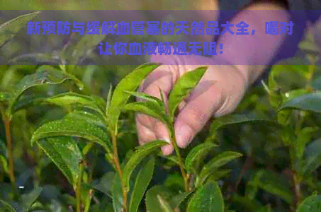 新预防与缓解血管塞的天然品大全，喝对让你血液畅通无阻！